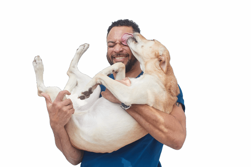 dsc 8046 cut dsc 8046 cut